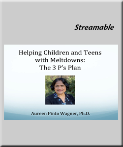 ** NEW** Helping Children and Teens with Meltdowns: The 3 P's Plan